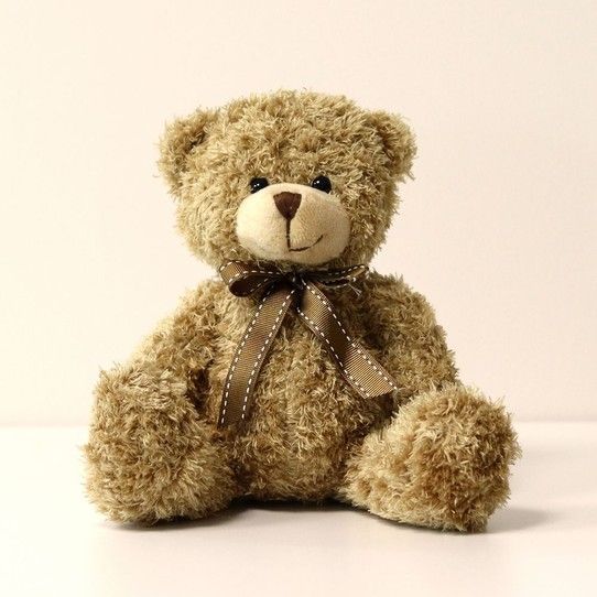 Teddy, Ourson en peluche tout doux