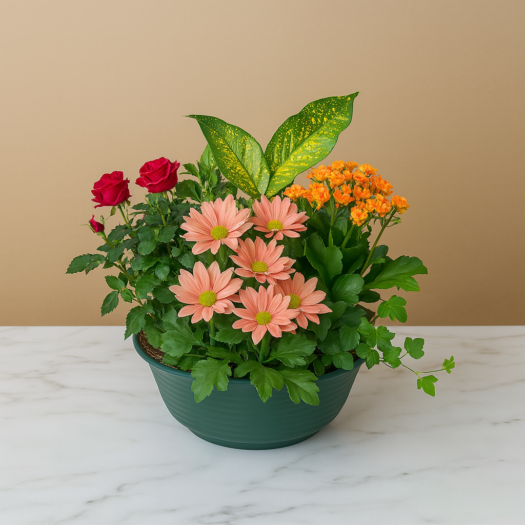 Composition florale multicolore en pot