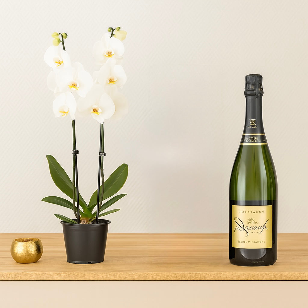 Blanc & Brut