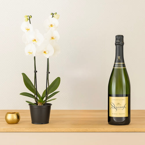 Blanc & Brut